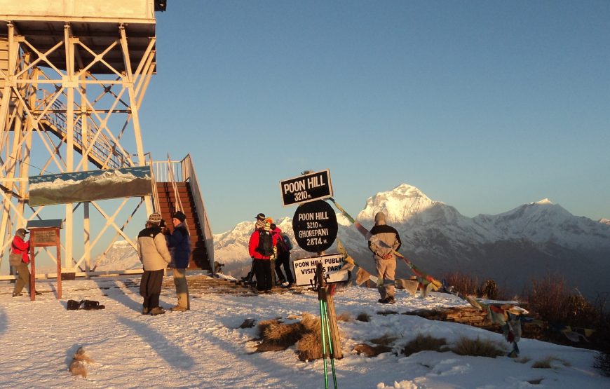 Ghorepani Poonhill Trek