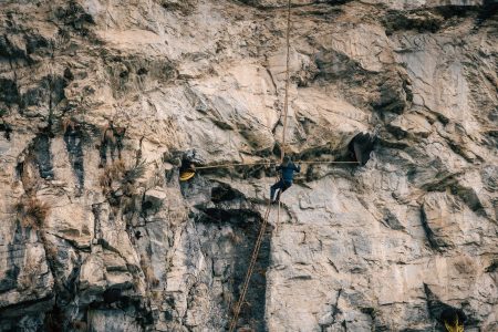 mad honey hunting tour