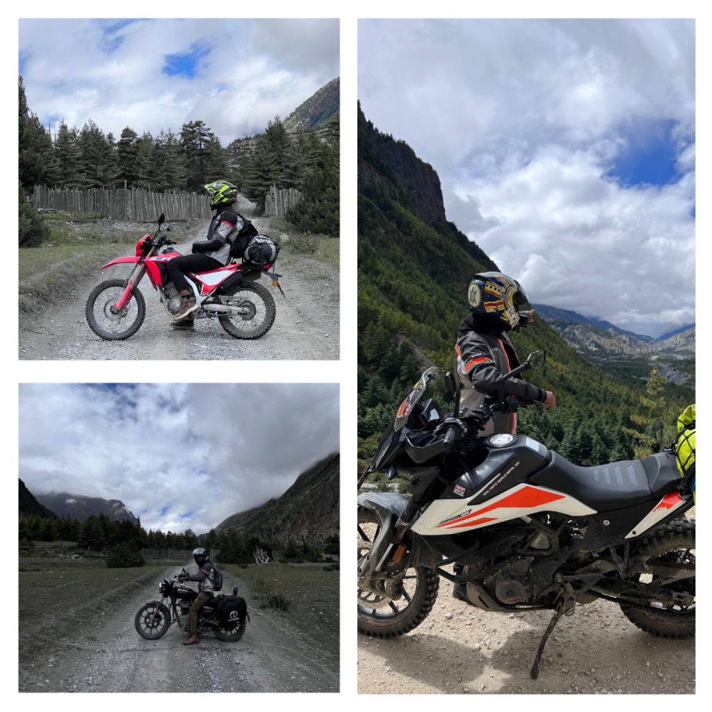 honey hunting motorbike adventure